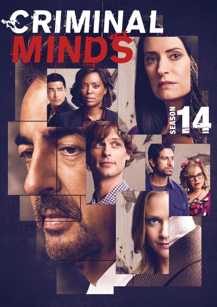 Criminal Minds: Season 14 (2019, DVD)