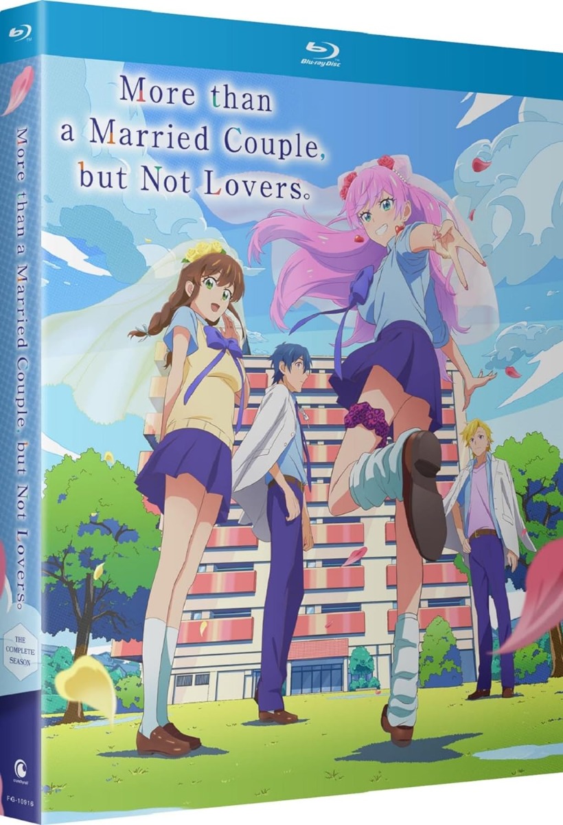 More than a Married Couple, but Not Lovers: The Complete Season [Blu-ray]