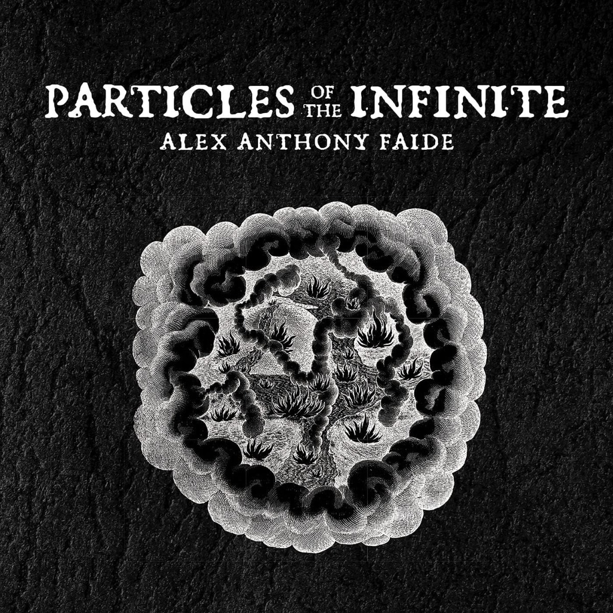  Alex Anthony Faide - Particles Of The Infinite - CD