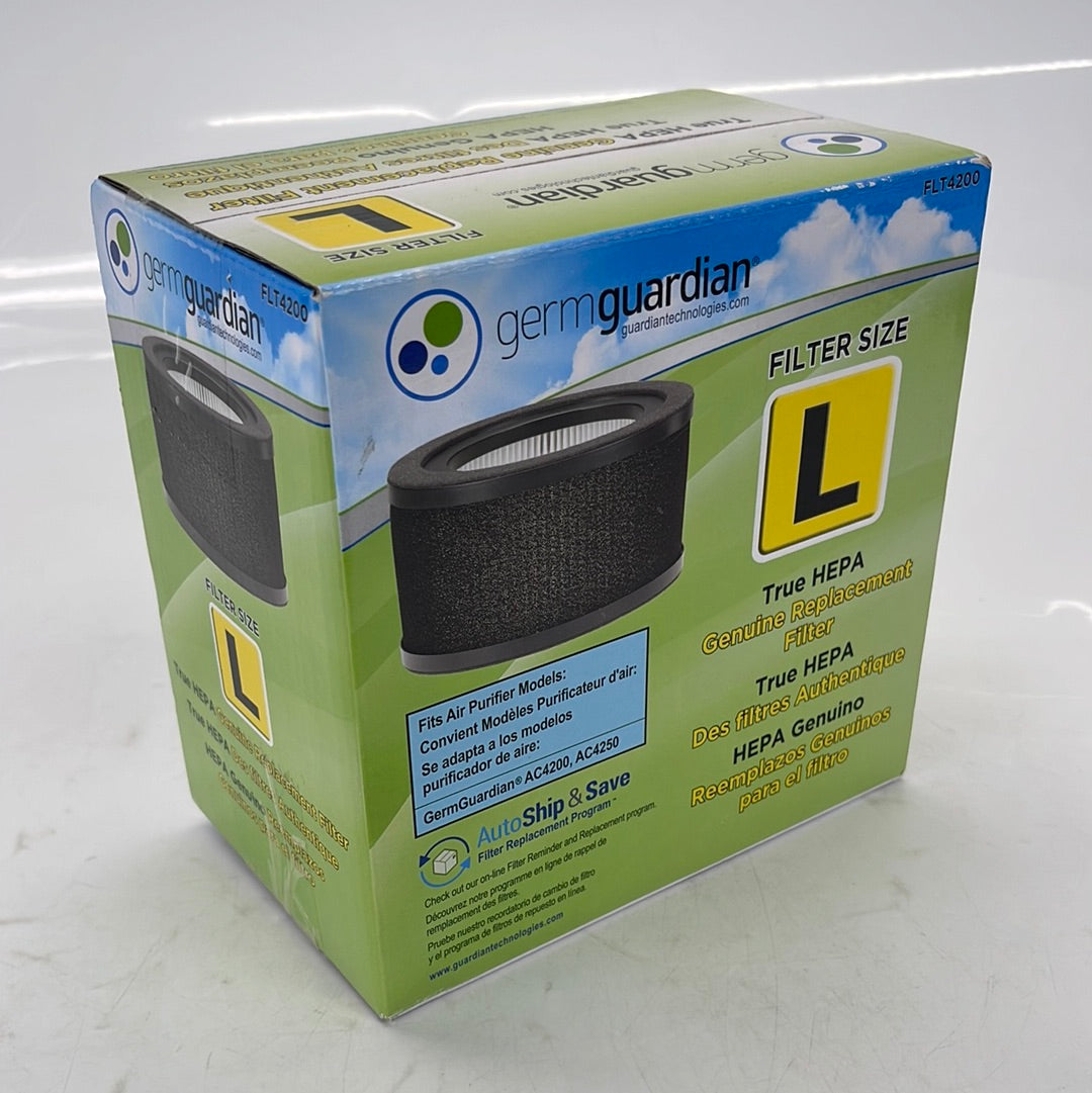 Charcoal and HEPA Filter for GermGuardian AC4200W - Black/White