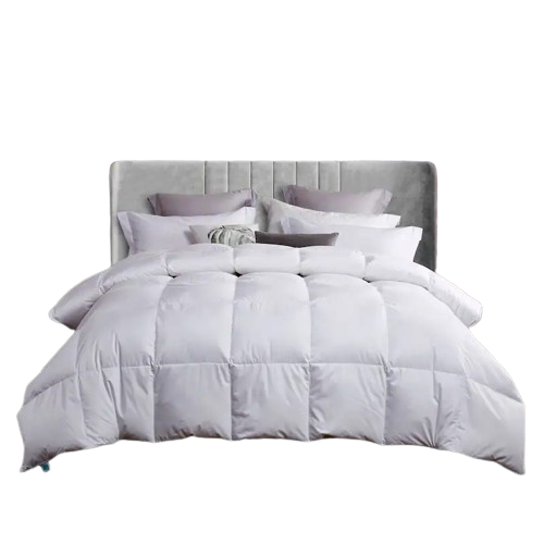 Martha Stewart 300 Thread Count White Down Comforter - King